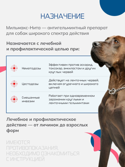 Мильмакс таблетки антигельминтные для собак весом от 5 кг - 2 таблетки