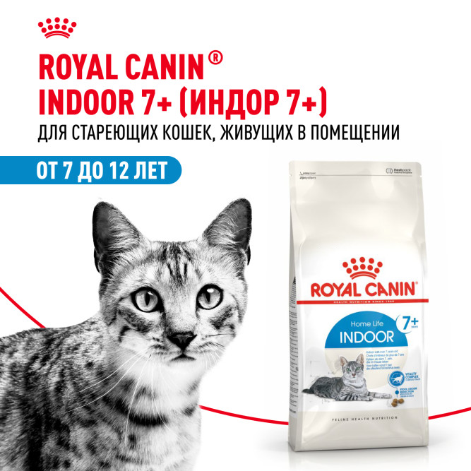 Royal Canin Feline Indoor 7+ сухой корм для пожилых кошек с 7 до 12 лет, постоянно проживающих в помещении - 400 г