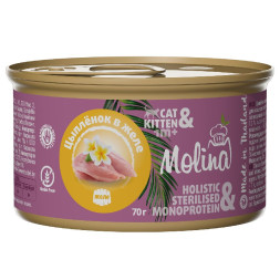 Molina влажный корм для котят и кошек с цыпленком, в желе, в консервах - 70 г x 12 шт