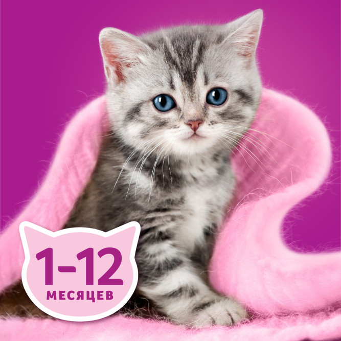 Whiskas влажный корм для котят от 1 до 12 месяцев, паштет с курицей, в паучах - 75 г х 28 шт
