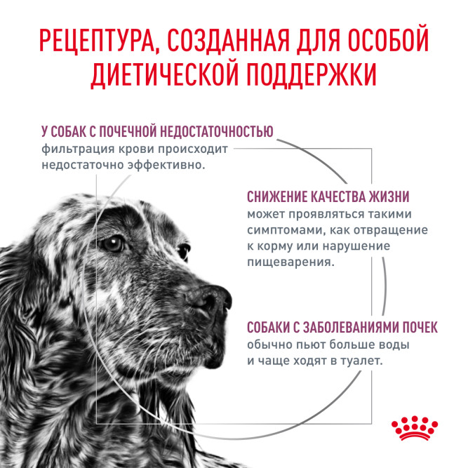 Royal Canin Renal сухой корм для собак при хронической почечной недостаточности - 14 кг