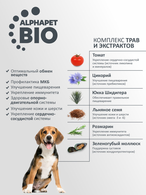AlphaPet WOW Superpremium полнорационный сухой корм для взрослых собак средних пород с говядиной и сердцем - 15 кг