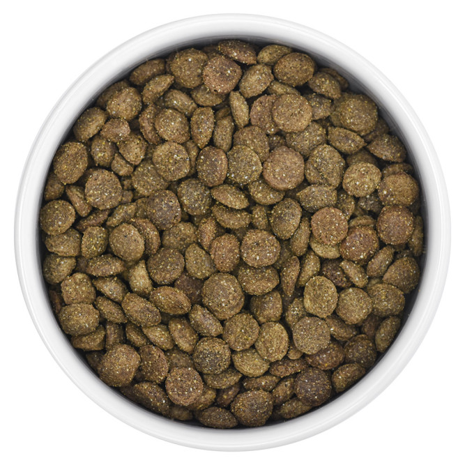 Florida сухой корм для взрослых стерилизованных кошек и кастрированных котов с ягненком и грушей - 800 г