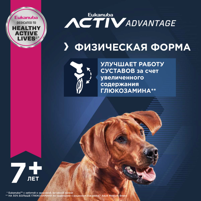 Сухой корм Eukanuba Mature &amp; Senior для пожилых собак крупных пород старше 6 лет с курицей - 15 кг