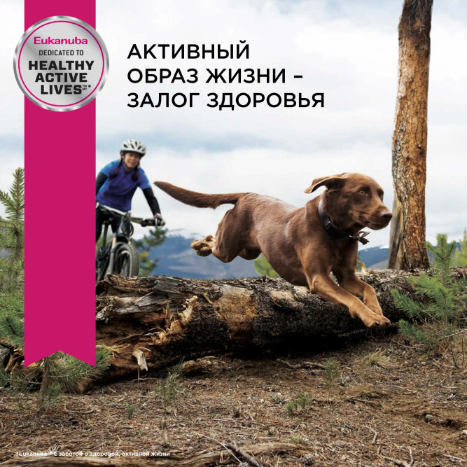 Сухой корм Eukanuba Mature &amp; Senior для пожилых собак крупных пород старше 6 лет с курицей - 15 кг