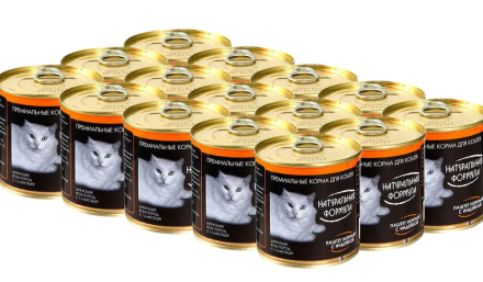 Натуральная формула влажный корм для кошек нежный паштет с индейкой, в консервах - 250 г х 15 шт