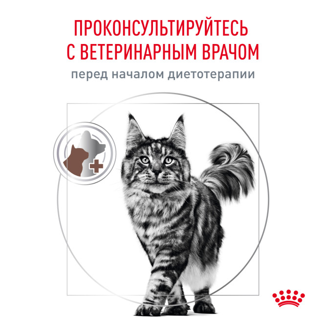 Royal Canin Gastrointestinal Hairball сухой диетический корм для взрослых кошек, профилактика образования волосяных комочков - 350 г