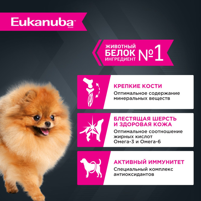 Eukanuba Adult Dog влажный корм для взрослых собак всех пород с говядиной в соусе, в паучах - 100 г х 28 шт