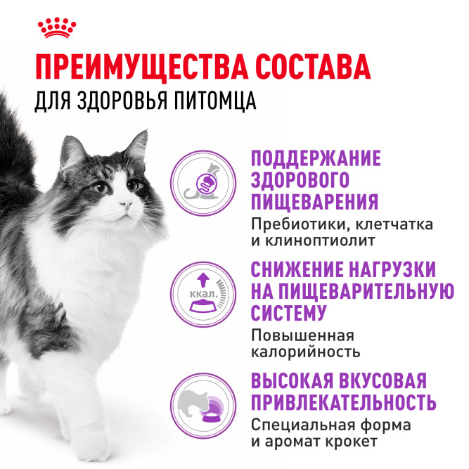 Royal Canin Sensible 33 сухой корм для взрослых кошек с чувствительной пищеварительной системой - 1,2 кг