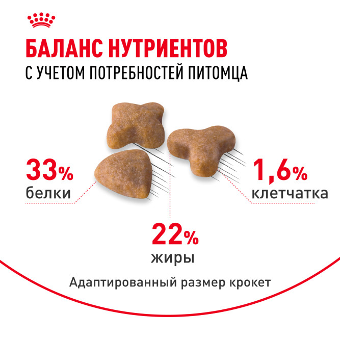 Royal Canin Sensible 33 сухой корм для взрослых кошек с чувствительной пищеварительной системой - 1,2 кг