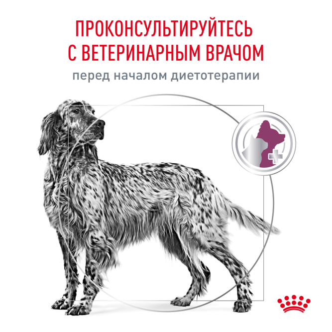 Royal Canin Renal для взрослых собак с хронической почечной недостаточностью - 2 кг