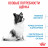 Royal Canin X - Small Puppy сухой корм для щенков миниатюрных пород - 500 г