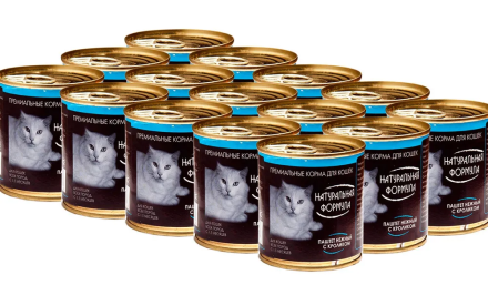 Натуральная формула влажный корм для кошек нежный паштет с кроликом, в консервах - 250 г х 15 шт