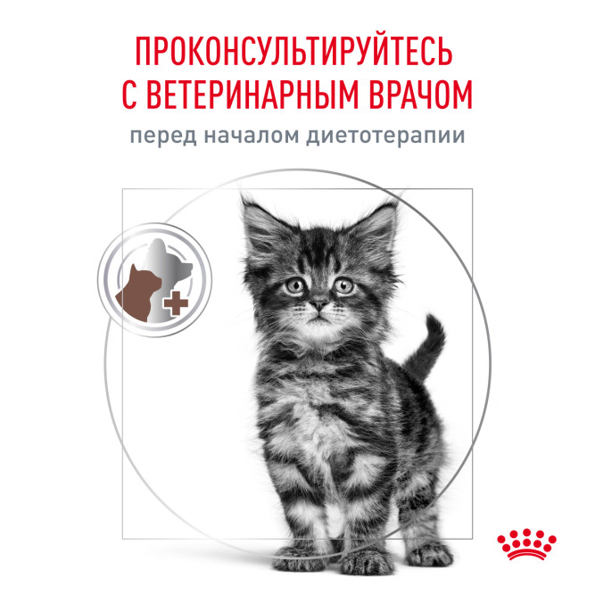 Royal Canin Gastrointestinal Kitten сухой диетический корм для котят от 2 до 10 месяцев при нарушениях пищеварения - 350 г