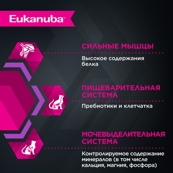 Eukanuba Kitten Healthy Start влажный корм для котят с курицей в соусе, в паучах - 85 г х 28 шт