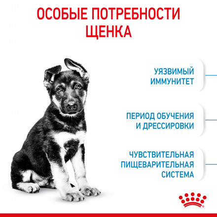 Royal Canin Maxi Puppy сухой корм для щенков крупных пород до 15 месяцев - 15 кг