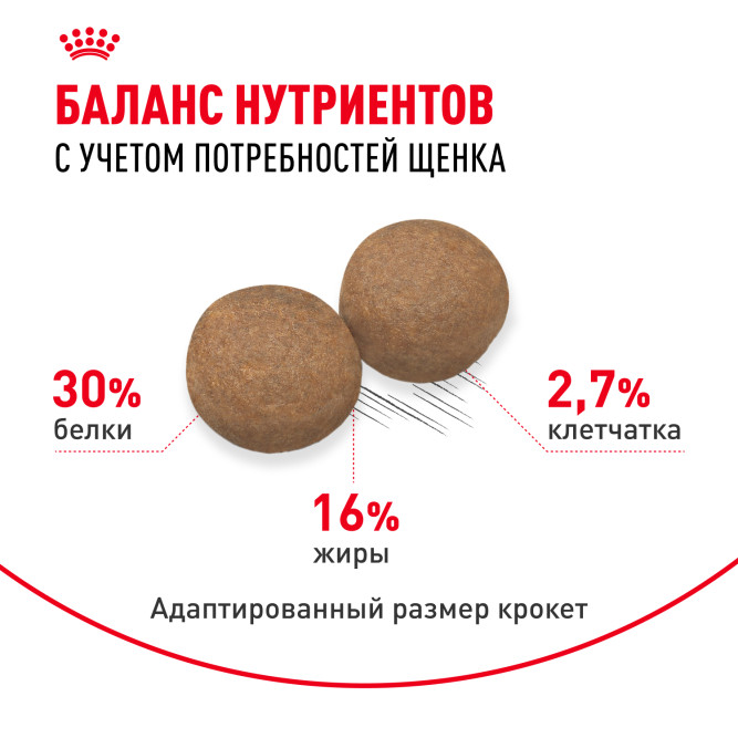 Royal Canin Maxi Junior сухой корм для щенков крупных пород с 2 до 15 месяцев - 15 кг