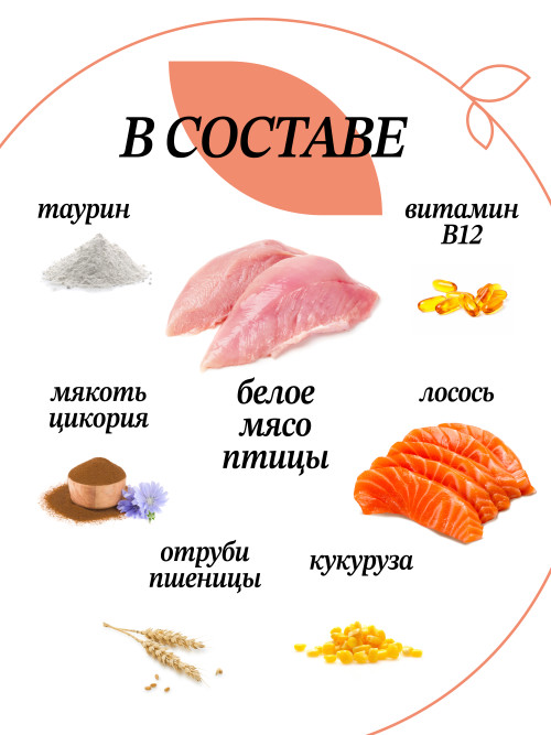 Chat&amp;Chat Adult Sterilized Salmon сухой корм для взрослых стерилизованных кошек со вкусом лосося - 900 г