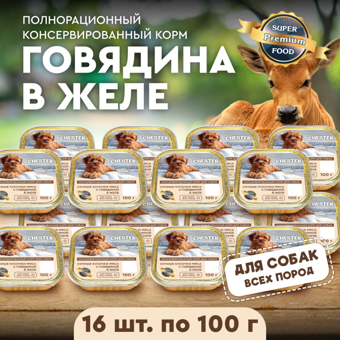Chester влажный корм для взрослых собак всех пород, сочные кусочки мяса с говядиной в желе, в ламистерах - 100 г х 16 шт