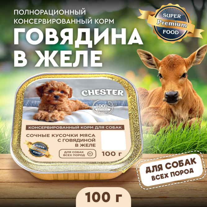 Chester влажный корм для взрослых собак всех пород, сочные кусочки мяса с говядиной в желе, в ламистерах - 100 г х 16 шт