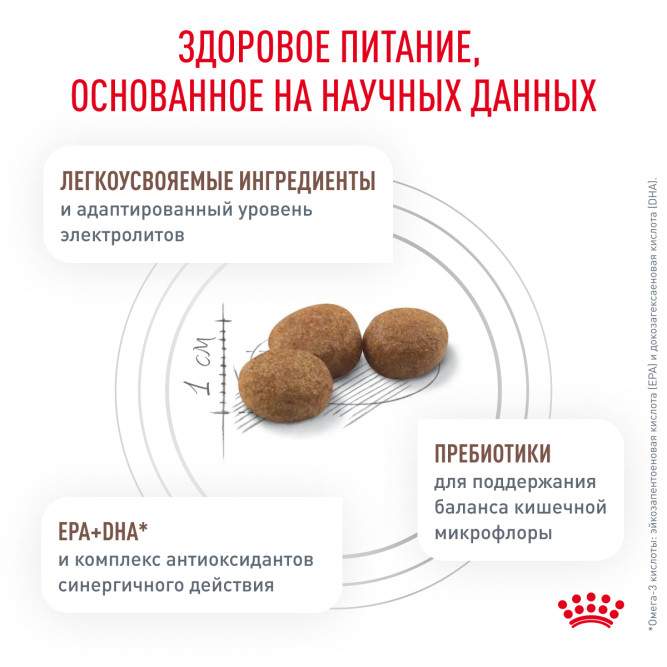 Royal Canin Gastrointestinal Low Fat Small Dog сухой корм для взрослых собак мелких пород при нарушениях пищеварения - 3 кг