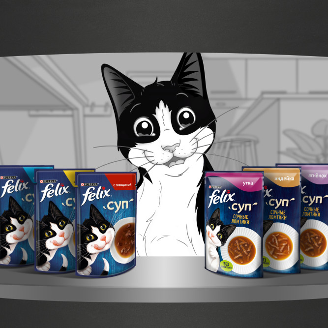 Felix неполнорационный влажный корм для взрослых кошек, суп с сочными ломтиками утки, в паучах - 48 г х 36 шт