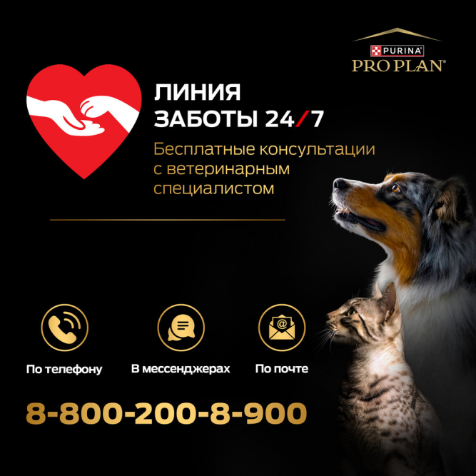 Pro Plan Healthy Start сухой корм для котят, с курицей - 10 кг