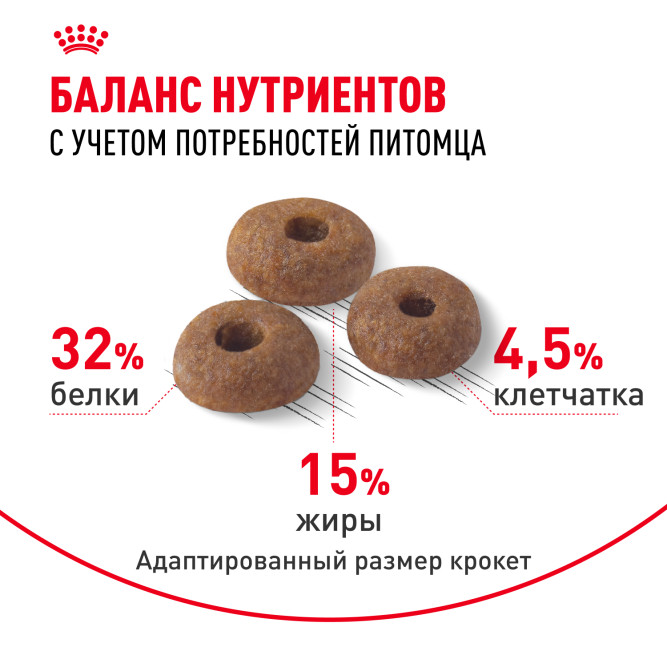 Royal Canin Fit 32 сухой корм для взрослых умеренно активных кошек от 1 года - 200 гр