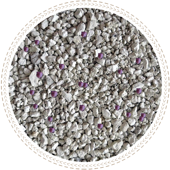 Catzone Lavender комкующйися наполнитель для кошачьего туалета с ароматом лаванды - 5 кг