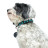 Hunter Modica XS-S ошейник для собак 24-30 см, натуральная кожа, черный, фурнитура с имитацией бирюзы