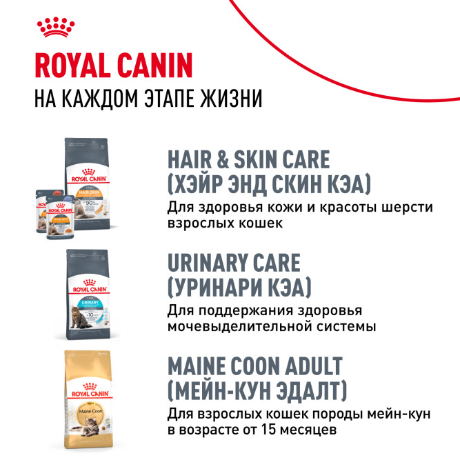 Royal Canin Maine Coon Kitten сухой корм для котят породы Мейн Кун до 15 месяцев - 10 кг
