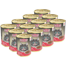 Зоогурман Big Cat влажный корм для взрослых кошек, с мясным ассорти, кусочки в желе - 350 г х 12 шт