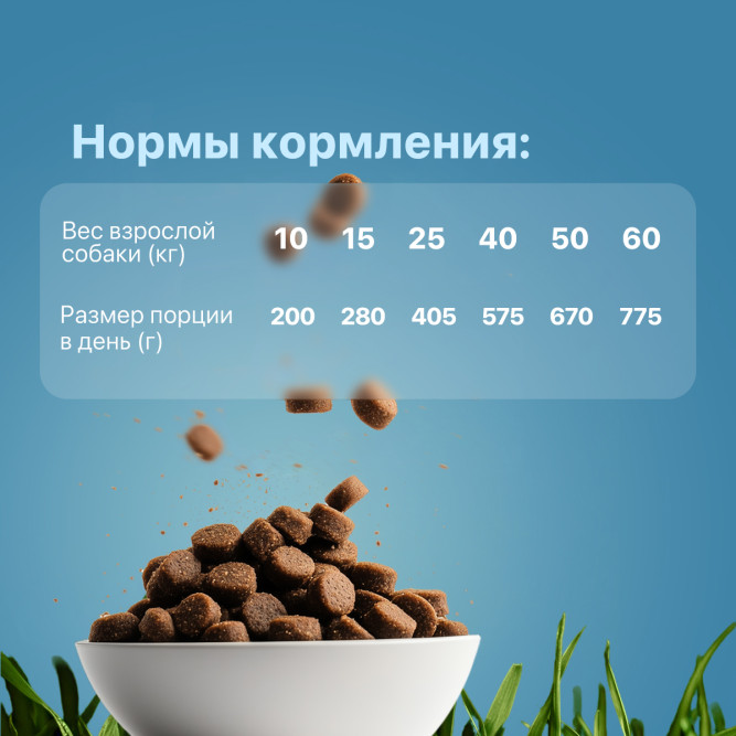 Дилли сухой корм для взрослых собак рагу из курицы с рисом - 3,7 кг