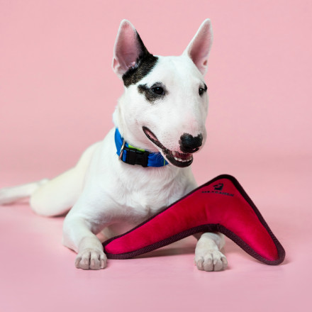 Mr.Kranch игрушка для собак мелких и средних пород Бумеранг с пищалкой 22х19х4,5см, розовый