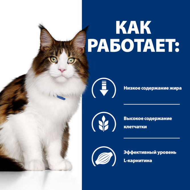Hills Prescription Diet w/d влажный диетический корм для взрослых кошек при сахарном диабете с курицей, в паучах - 85 г x 12 шт