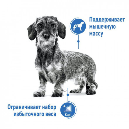 Royal Canin X-Small Light Weight Care сухой корм для взрослых собак мелких пород до 4 кг