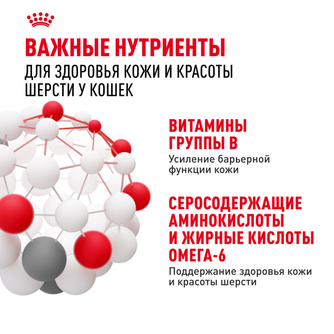 Royal Canin Hair&amp;Skin Care влажный корм для взрослых кошек, для поддержания здоровья кожи и красоты шерсти, тонкие ломтики в соусе, в паучах - 85 г х 28 шт