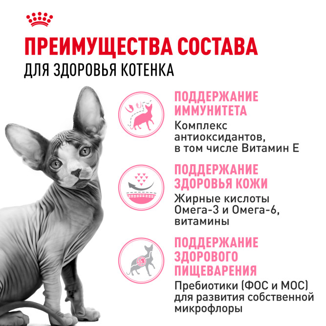 Royal Canin Sphynx Kitten сухой корм для котят пород Сфинкс до 12 месяцев - 400 гр