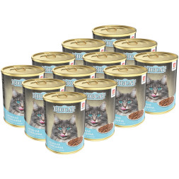 Зоогурман Big Cat влажный корм для взрослых кошек, с нежной говядиной, кусочки в желе - 350 г х 12 шт