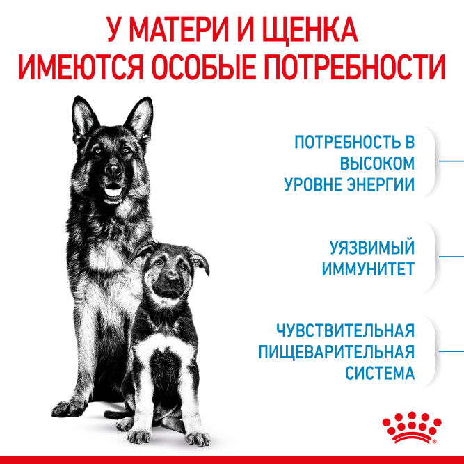 Royal Canin Maxi Starter Mother &amp; Babydog для щенков крупных размеров до 2-месяцев и сук в последней трети беременности и во время лактации - 4 кг