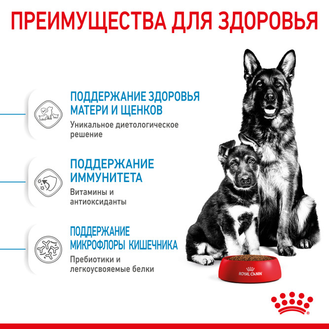Royal Canin Maxi Starter Mother &amp; Babydog для щенков крупных размеров до 2-месяцев и сук в последней трети беременности и во время лактации - 4 кг