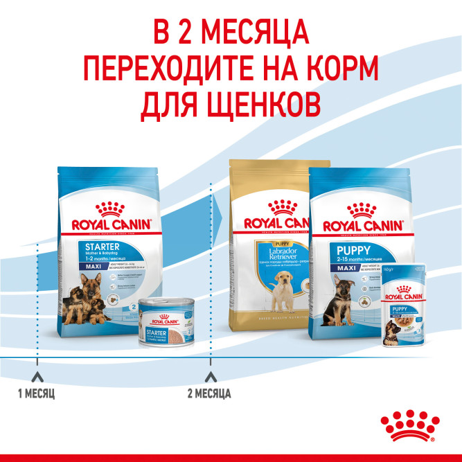 Royal Canin Maxi Starter Mother &amp; Babydog для щенков крупных размеров до 2-месяцев и сук в последней трети беременности и во время лактации - 4 кг