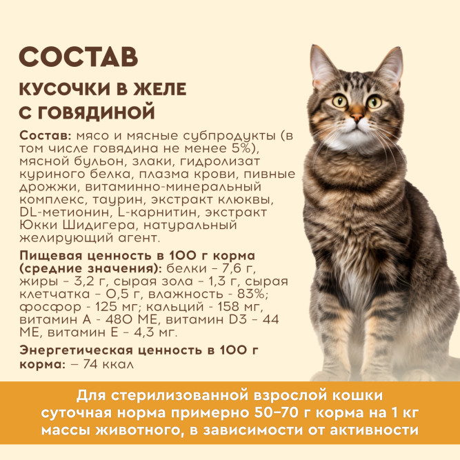 Chester влажный корм для взрослых стерилизованных кошек, кусочки в желе с говядиной, в ламистерах - 100 г х 16 шт