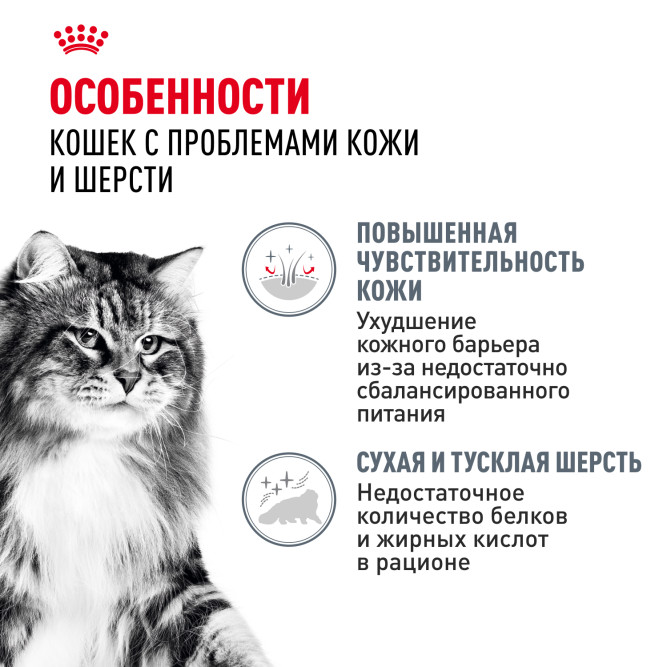 Royal Canin Hair&amp;Skin Care влажный корм для взрослых кошек, для поддержания здоровья кожи и красоты шерсти, тонкие ломтики в желе, в паучах - 85 г х 28 шт