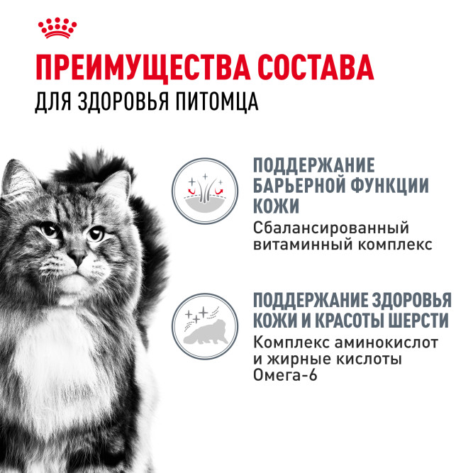 Royal Canin Hair&amp;Skin Care влажный корм для взрослых кошек, для поддержания здоровья кожи и красоты шерсти, тонкие ломтики в желе, в паучах - 85 г х 28 шт