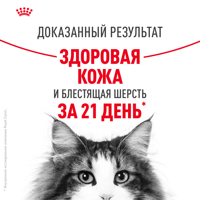 Royal Canin Hair&amp;Skin Care влажный корм для взрослых кошек, для поддержания здоровья кожи и красоты шерсти, тонкие ломтики в желе, в паучах - 85 г х 28 шт