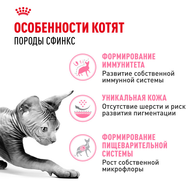 Royal Canin Sphynx Kitten сухой корм для котят пород Сфинкс до 12 месяцев - 2 кг