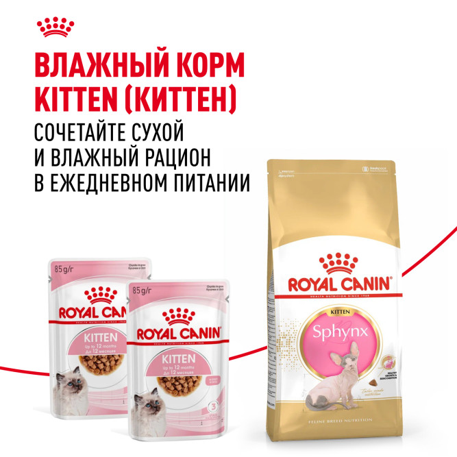 Royal Canin Sphynx Kitten сухой корм для котят пород Сфинкс до 12 месяцев - 2 кг