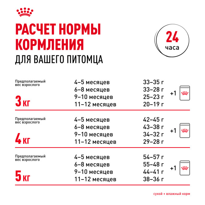 Royal Canin Sphynx Kitten сухой корм для котят пород Сфинкс до 12 месяцев - 2 кг