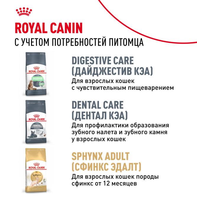 Royal Canin Sphynx Kitten сухой корм для котят пород Сфинкс до 12 месяцев - 2 кг